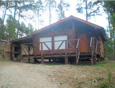 Los Arboles