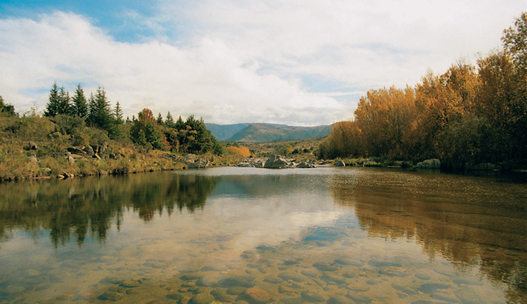 Fortines y Lagunas